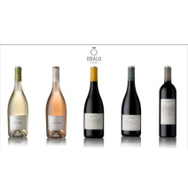 Vino Tinto Obalo Joven San Roque Rioja 750 ml - Cavas Towns Vino Tinto Obalo Joven San Roque Rioja 750 ml - Cavas Towns