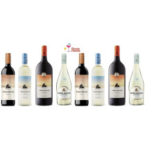 Vino Toro Bravo Verdejo-Sauvignon Blanc 750 ml - Cavas Towns