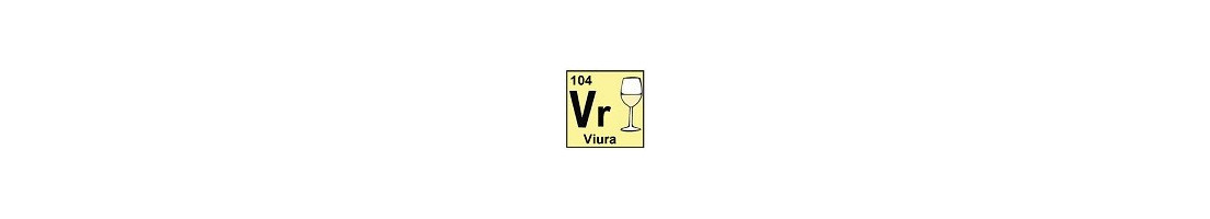 Vinos Blancos con Uva Viura